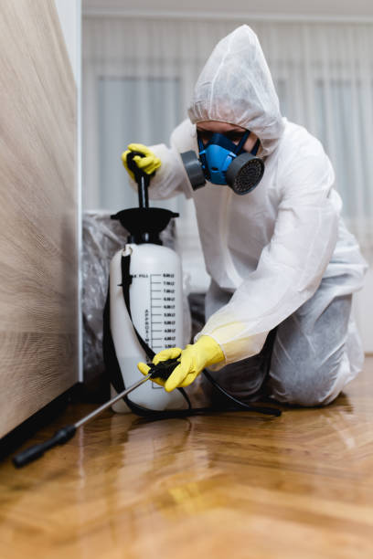 Best Pest Prevention Services  in Mount Hermon, VA